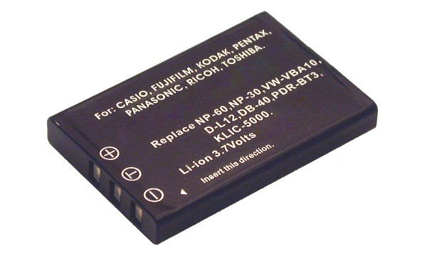 Caplio GX8 Batterie