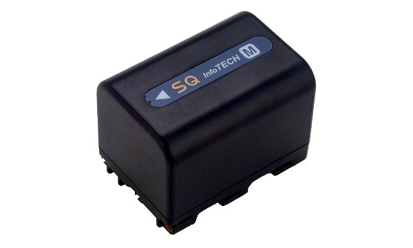 DCR-TRV950E Batterie (Cellules 2)