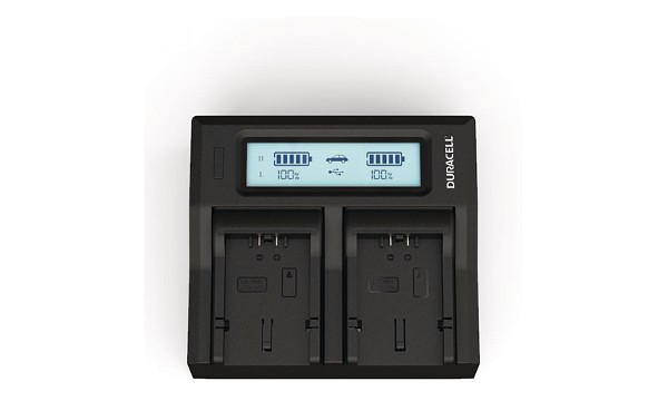 V-LUX 1 Double chargeur batterie Panasonic CGA-S006